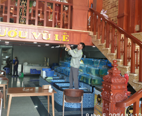 DIỆT MỐI TẬN GỐC