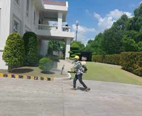 DỊCH VỤ PHUN DIỆT MUỖI