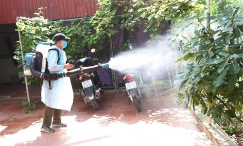 Bình Dương: Bệnh sốt xuất huyết diễn biến phức tạp, xu hướng gia tăng