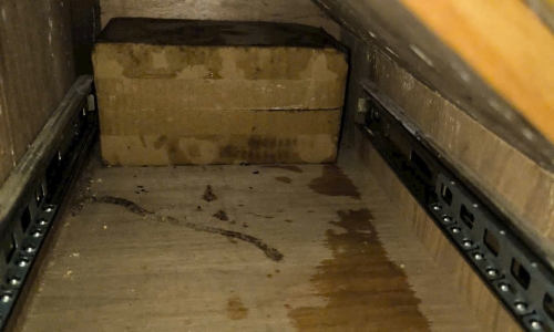 Diệt Mối Tận Gốc Bàu Bàng