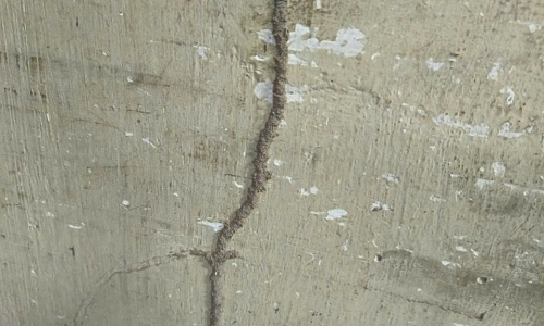 Diệt Mối Tận Gốc Khu Vực Chánh Phú Hòa