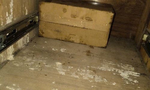 Diệt Mối Tận Gốc Khu Vực Mỹ Phước