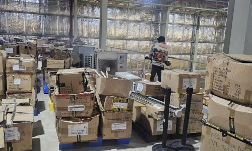 Diệt Mối Tận Gốc Tại Quận 3