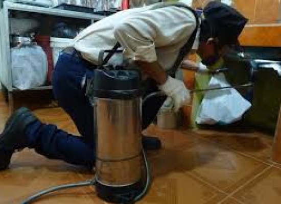 DỊCH VỤ PHUN DIỆT GIÁN