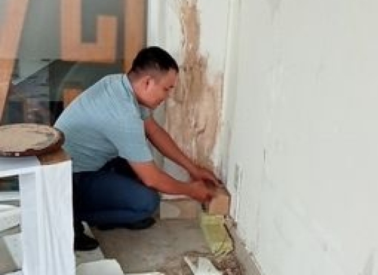 DỊCH VỤ DIỆT MỐI TẠI ĐỒNG NAI